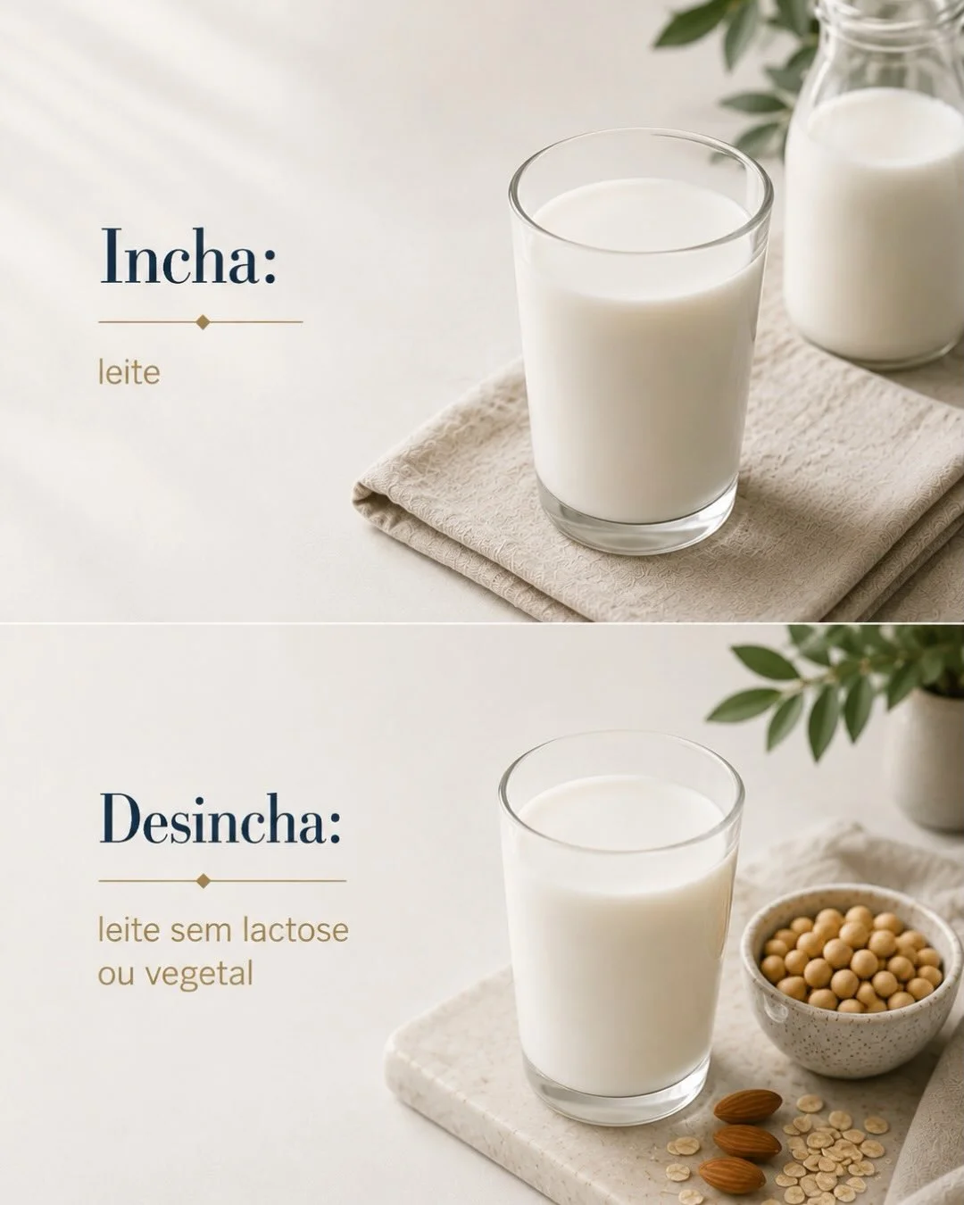 Incha: leite com lactose. Desincha: leite sem lactose ou bebida vegetal