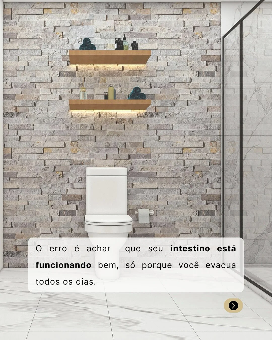 Banheiro — evacuar todo dia não significa que o intestino está funcionando bem