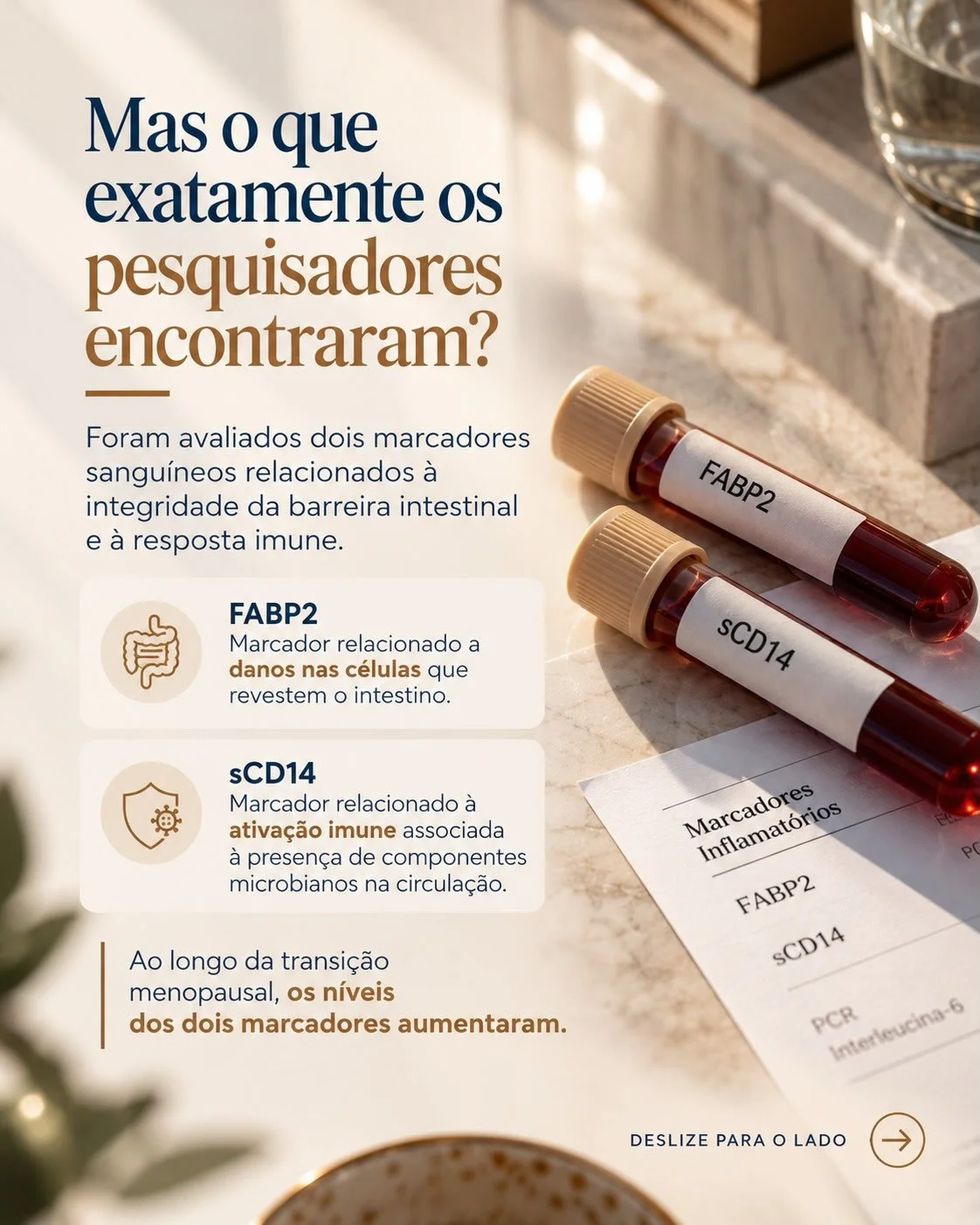 Marcadores FABP2 e sCD14: o que aumenta no intestino durante a menopausa