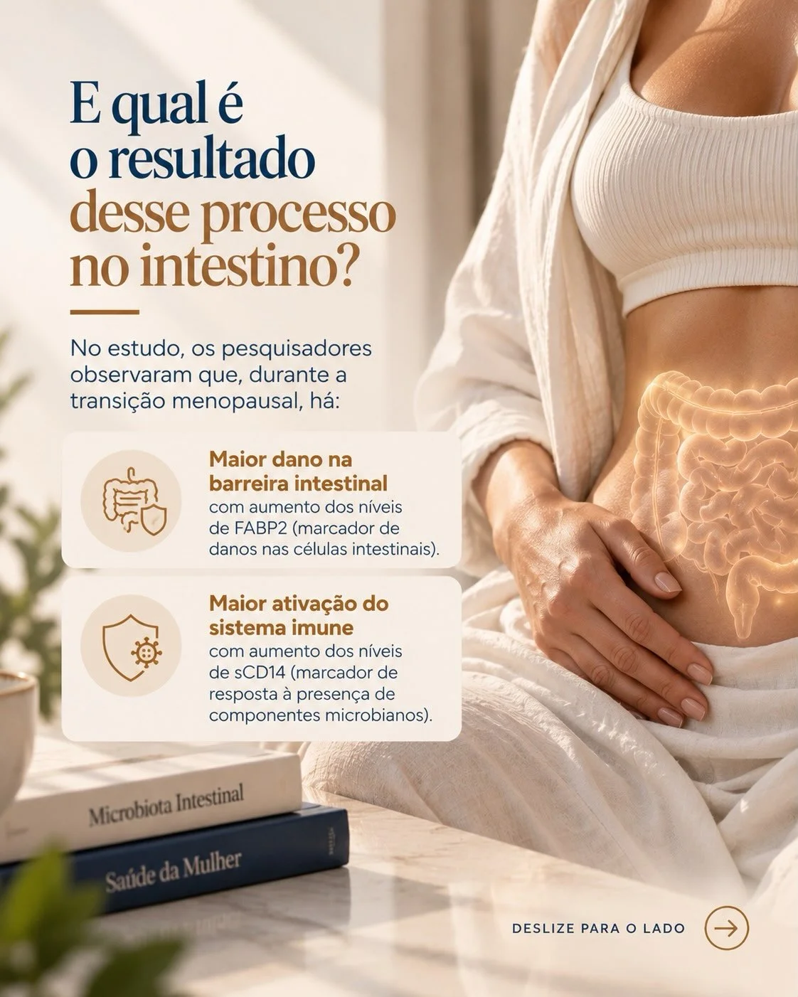 Resultado no intestino na menopausa: barreira intestinal e sistema imune