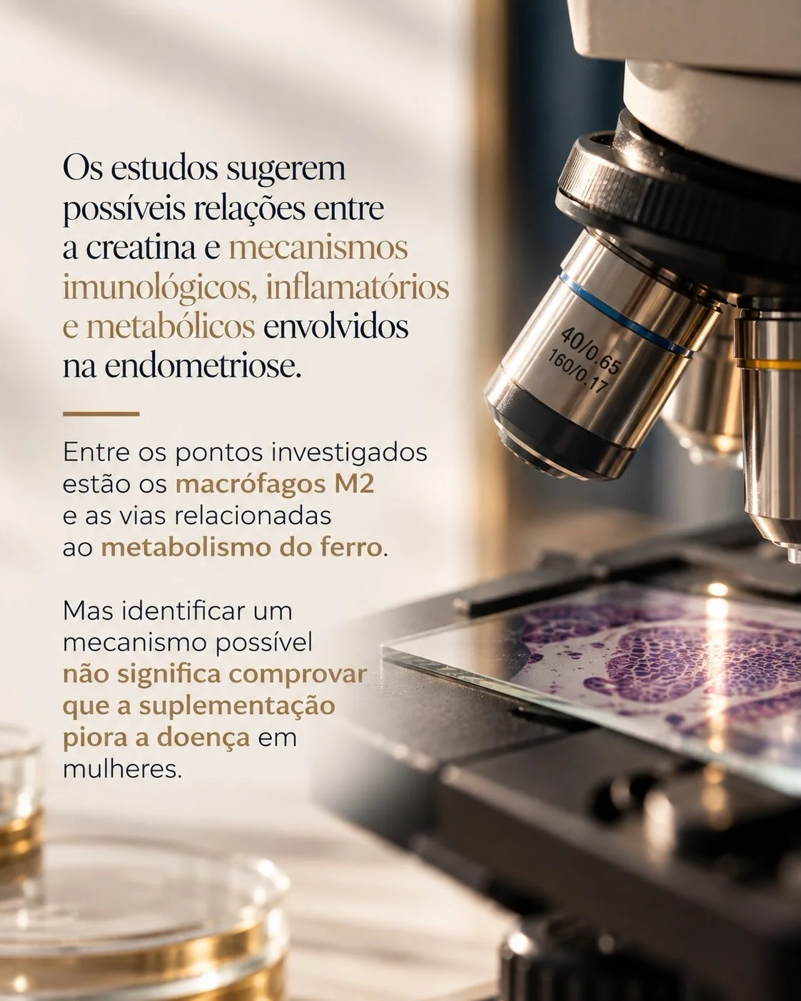 Estudos sobre creatina e endometriose: mecanismos imunológicos e metabólicos — mecanismo possível não significa comprovação clínica