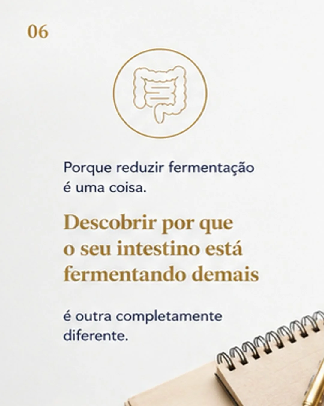 Reduzir fermentação é uma coisa — descobrir por que o intestino está fermentando demais é outra completamente diferente