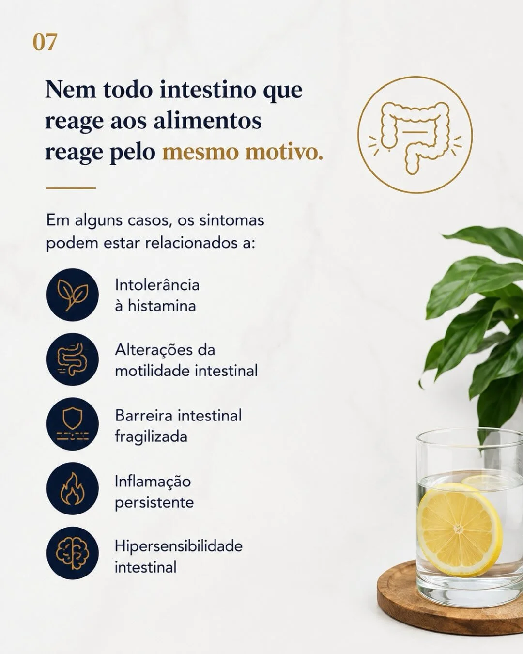 5 causas de sintomas intestinais além dos FODMAPs: histamina, motilidade, barreira fragilizada, inflamação persistente, hipersensibilidade