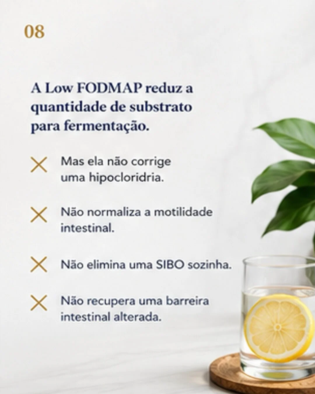 O que a Low FODMAP não faz: não corrige hipocloridria, não normaliza motilidade, não elimina SIBO, não recupera barreira intestinal alterada