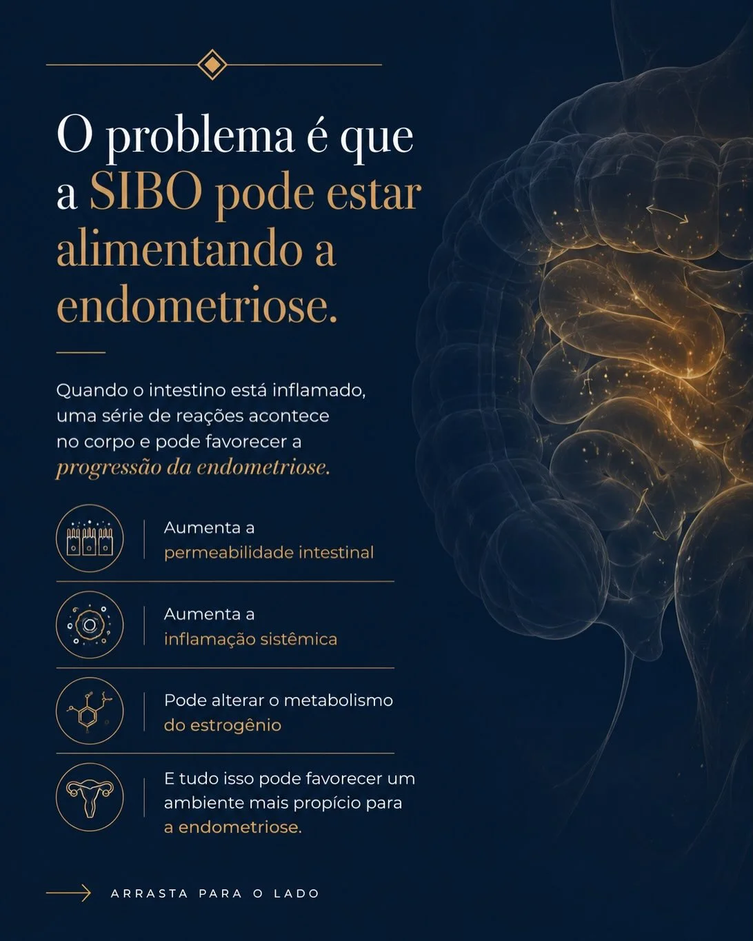SIBO pode alimentar a endometriose via permeabilidade intestinal, inflamação sistêmica e metabolismo do estrogênio