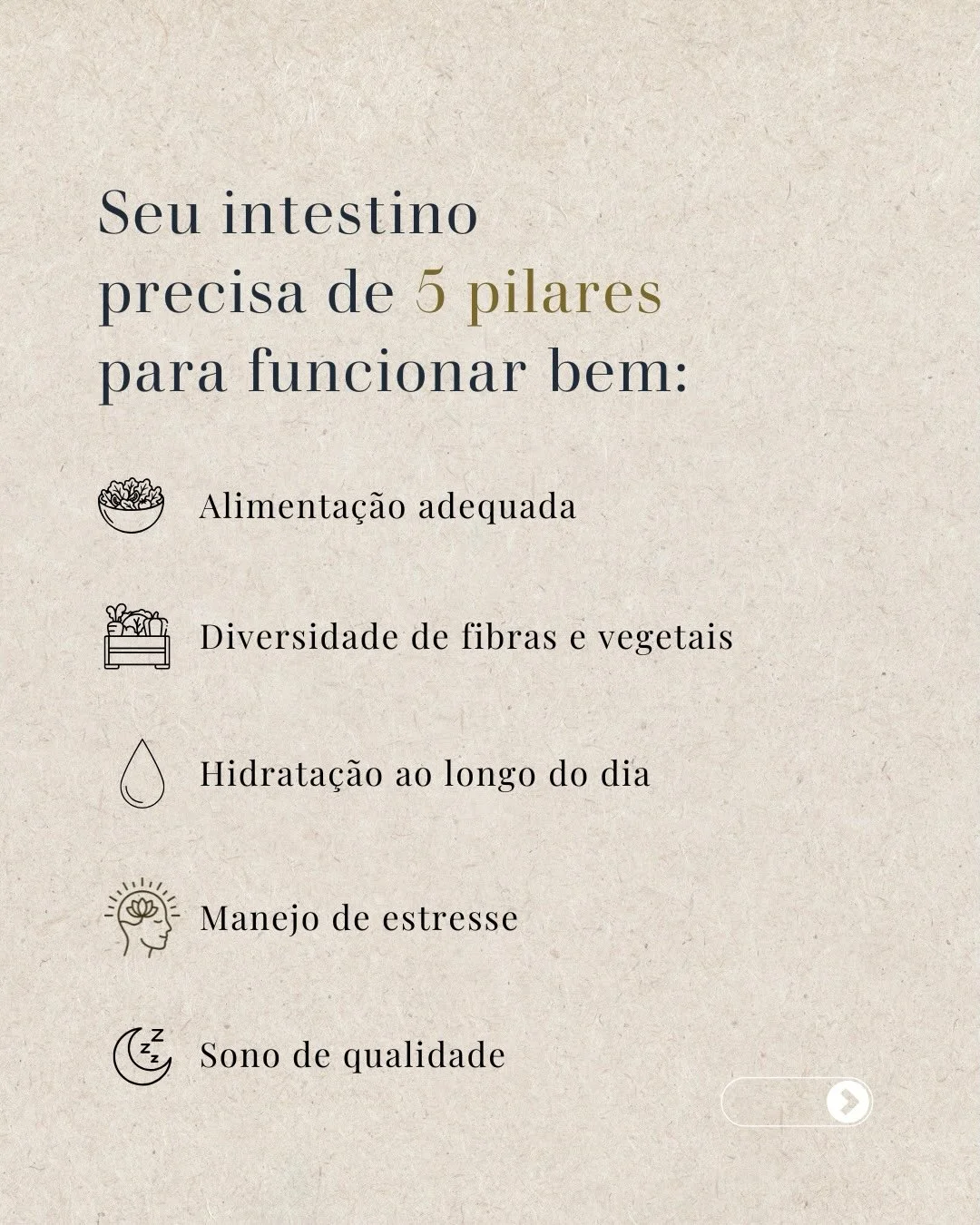 5 pilares para um intestino saudável: alimentação, fibras, hidratação, estresse e sono