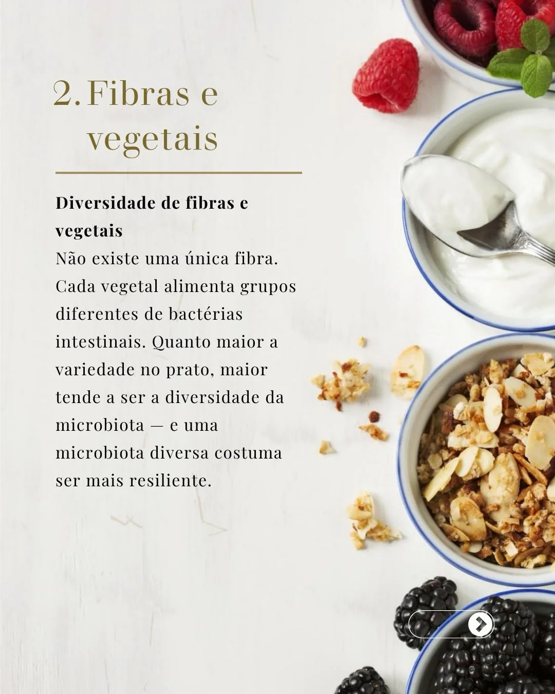Diversidade de fibras e vegetais alimenta grupos diferentes de bactérias intestinais benéficas