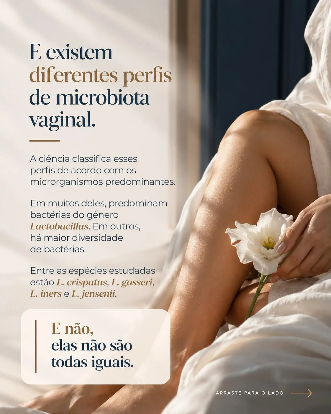 Perfis de microbiota vaginal: L. crispatus, L. gasseri, L. iners, L. jensenii