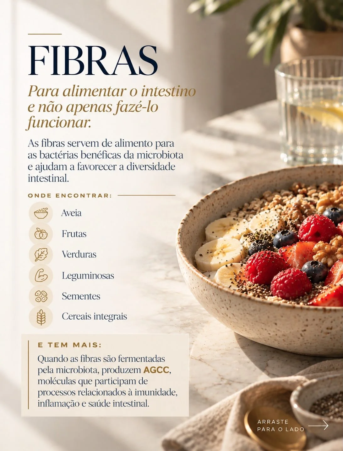 Fibras na menopausa: aveia, frutas, verduras, leguminosas e sementes alimentam a microbiota intestinal e produzem AGCC