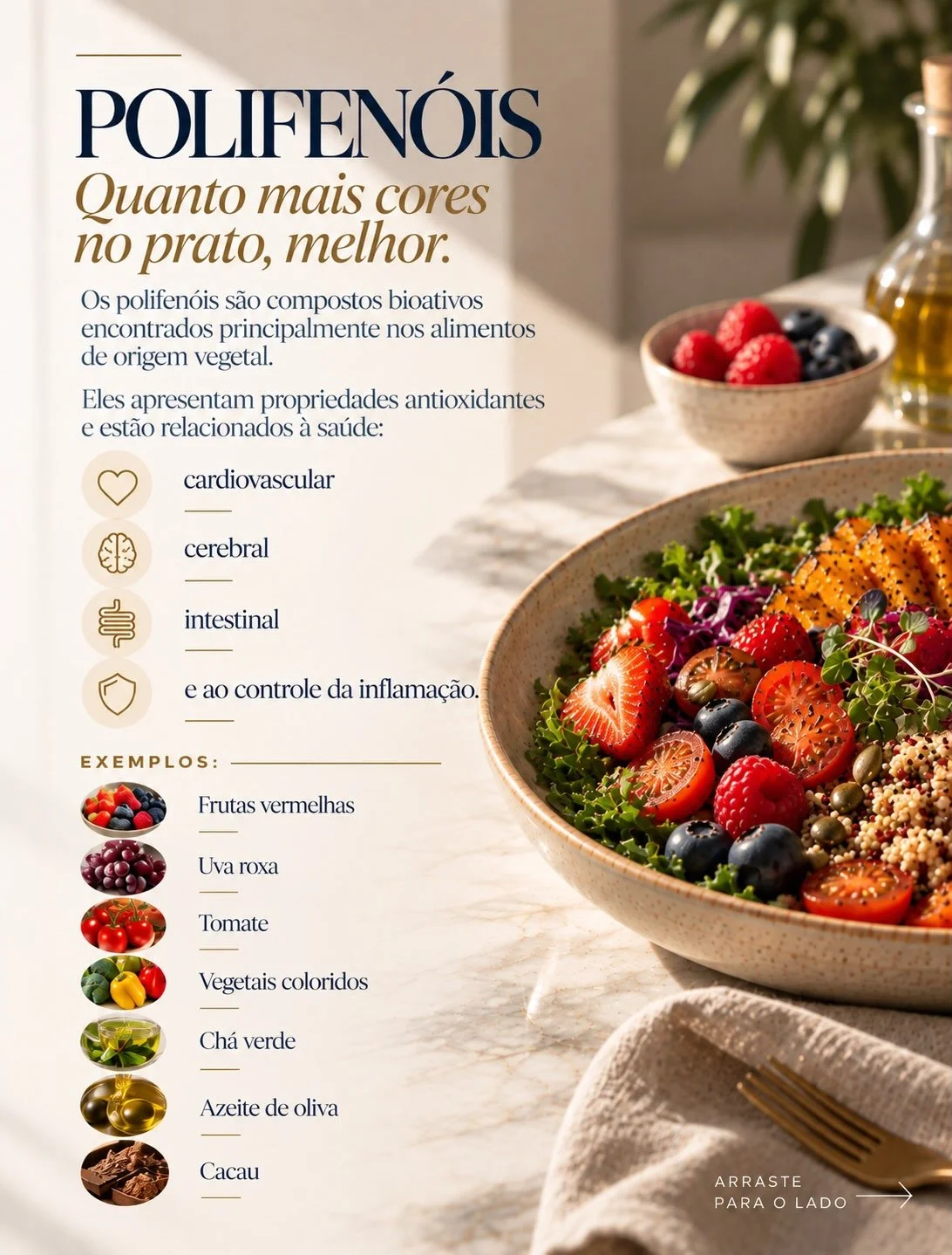 Polifenóis na menopausa: frutas vermelhas, tomate, chá verde, azeite e cacau — variedade de cores no prato como estratégia antioxidante