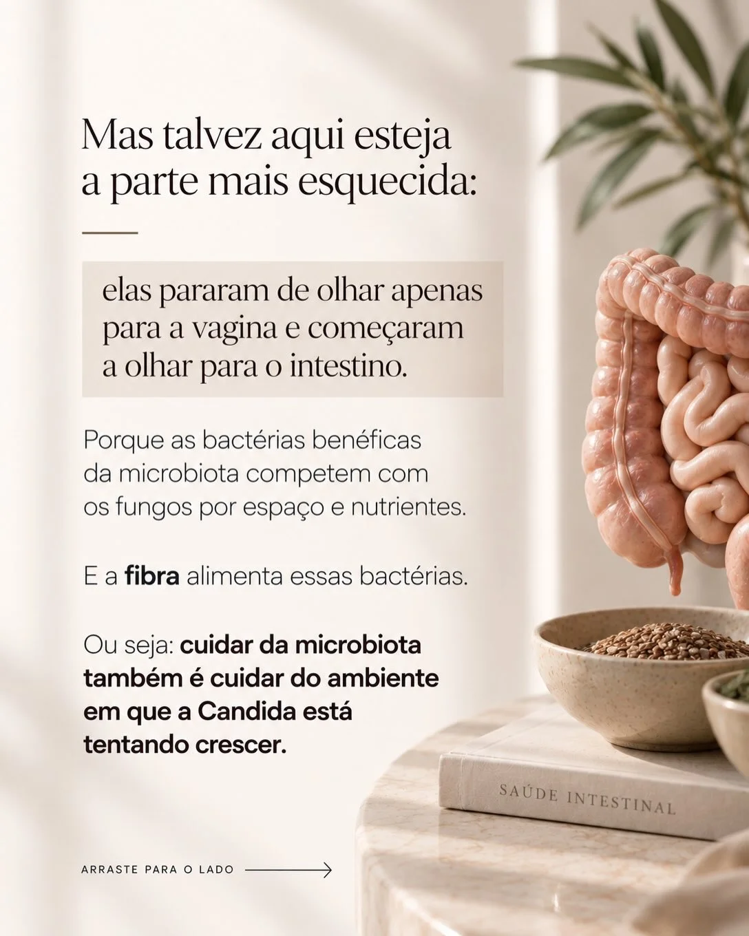 Microbiota intestinal e candidíase de repetição: as bactérias benéficas competem com os fungos por espaço e nutrientes