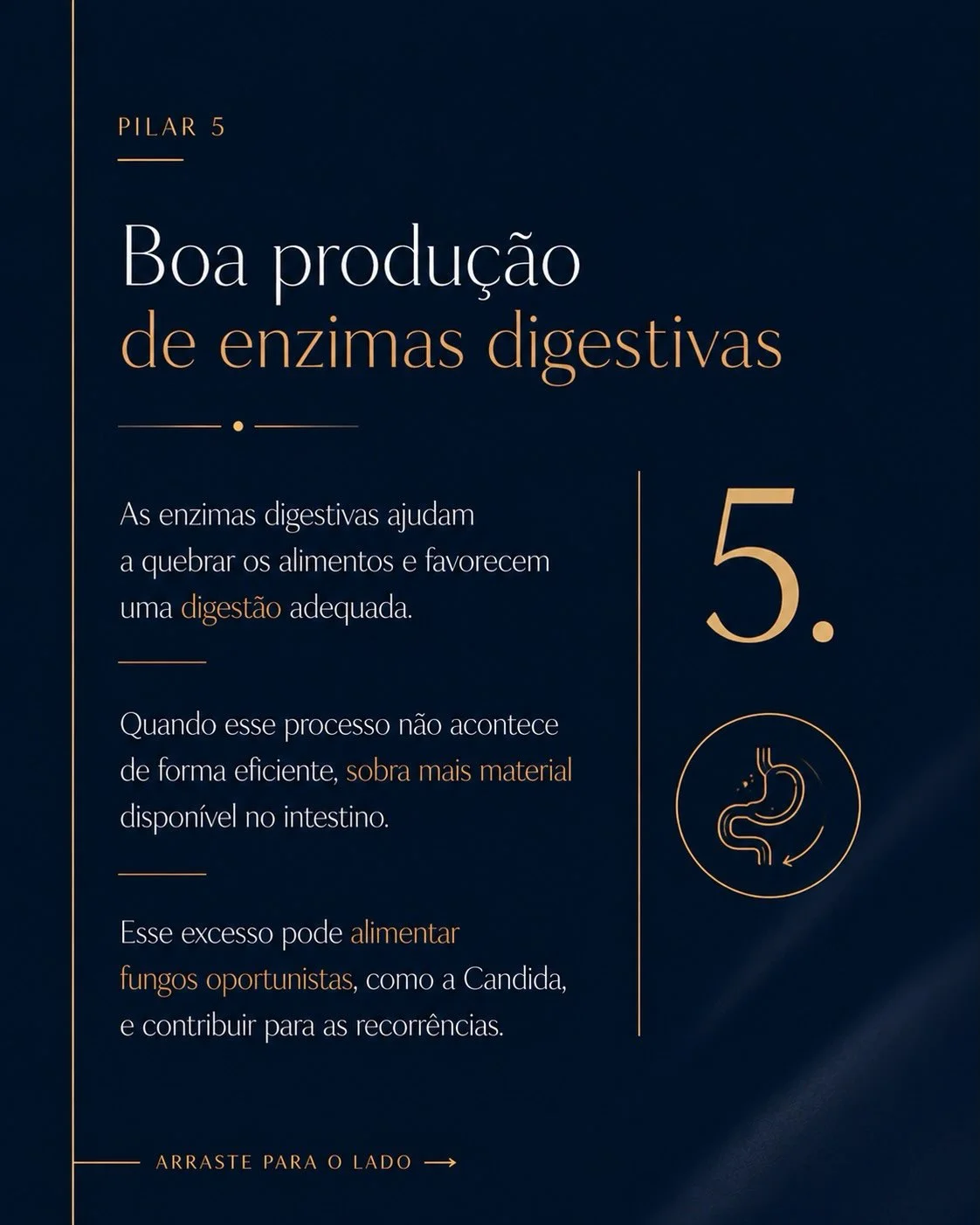 Pilar 5: enzimas digestivas adequadas reduzem candidíase de repetição