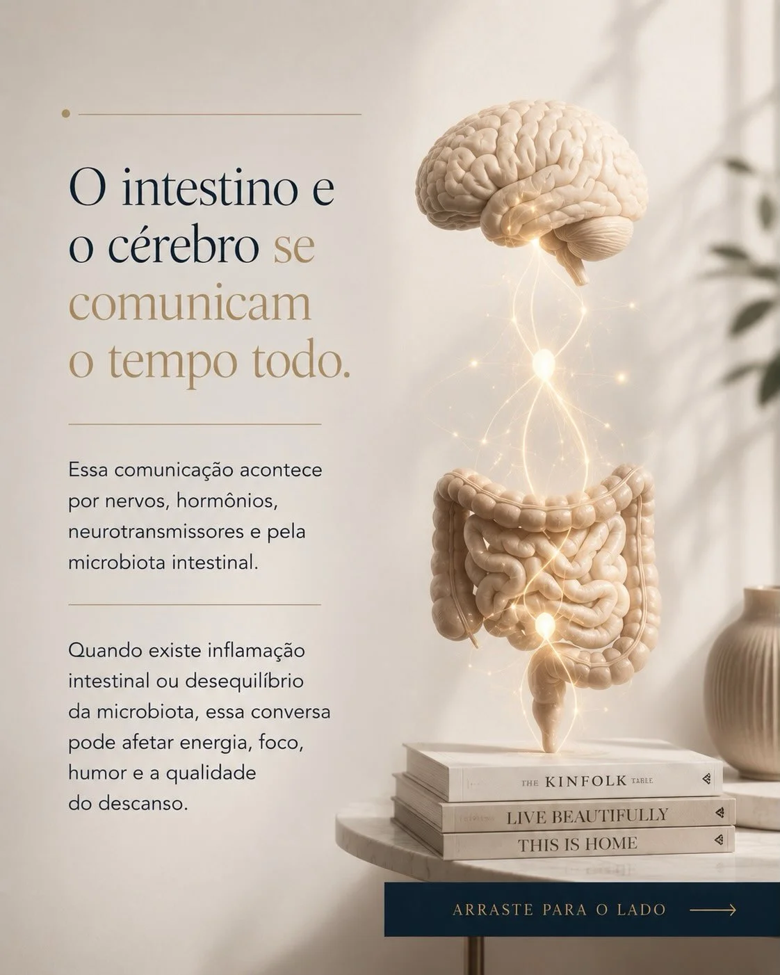 Ilustração do eixo intestino-cérebro mostrando a comunicação por nervos e neurotransmissores que afeta o sono