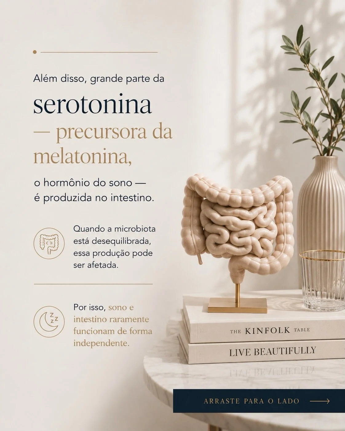 Modelo anatômico do intestino — 90% da serotonina, precursora da melatonina hormônio do sono, é produzida no intestino