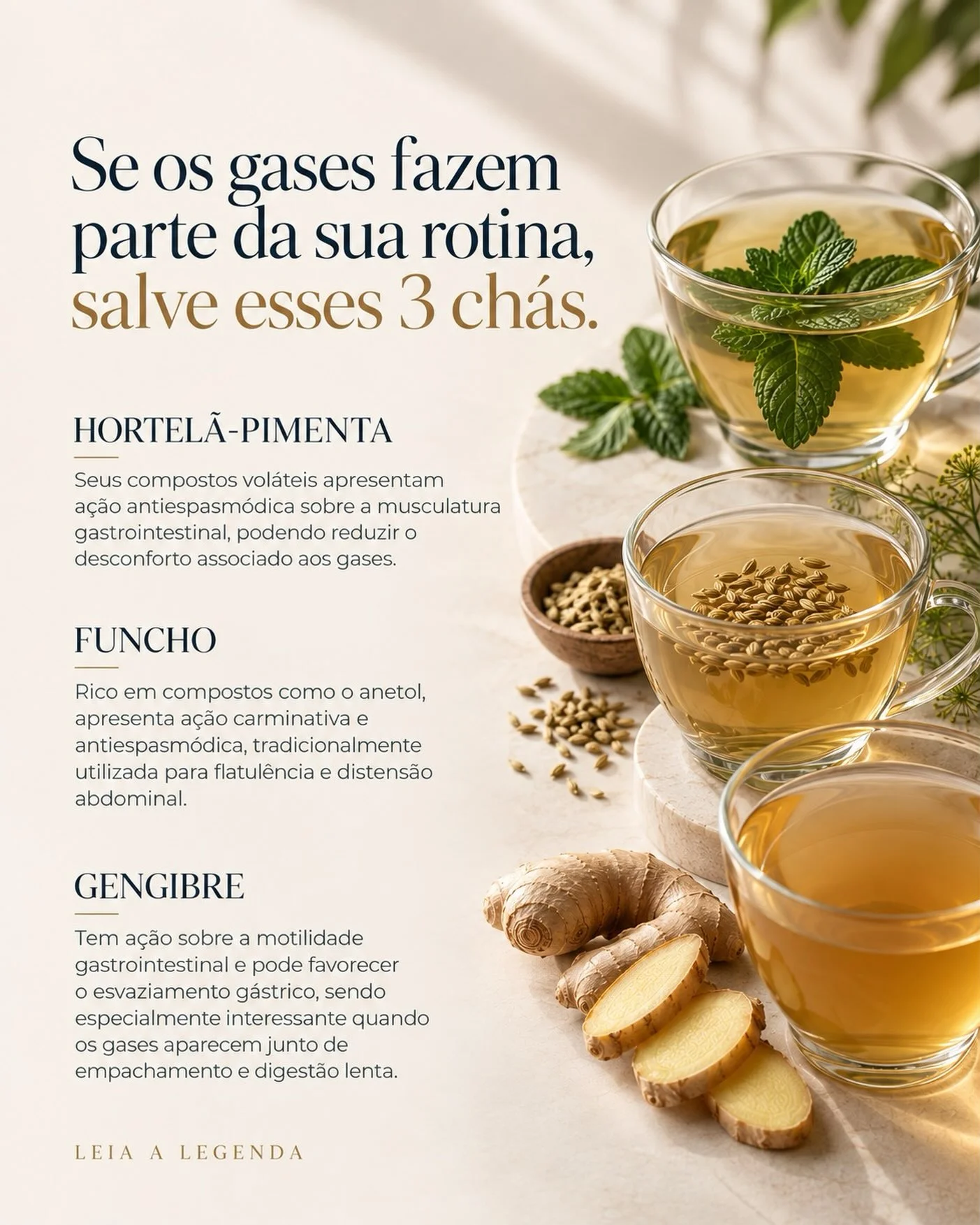 Três chás para gases: hortelã-pimenta, funcho e gengibre com ingredientes naturais