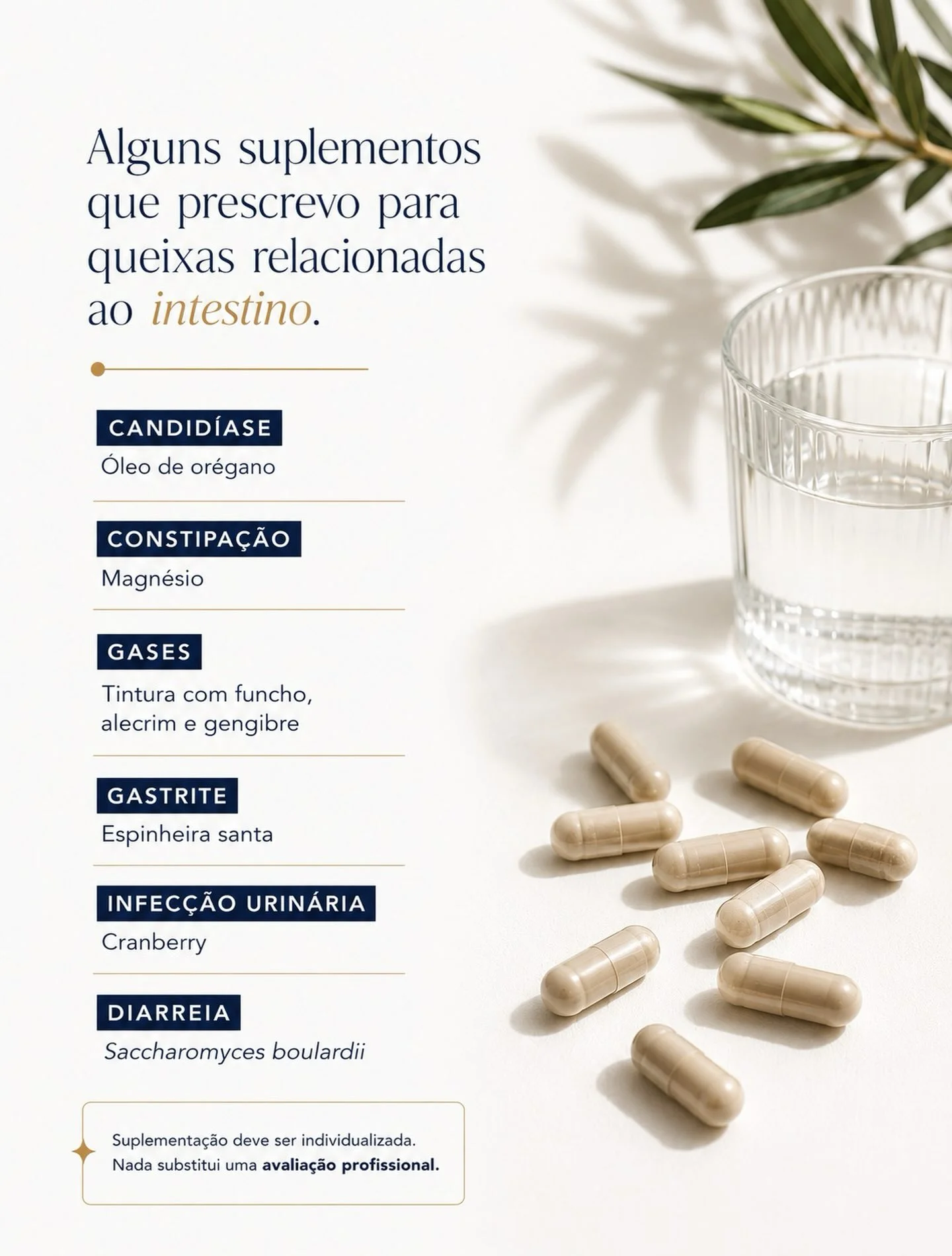Suplementos para Desinflamar o Intestino: 6 que Prescrevemos