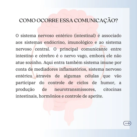 Como o intestino e o cérebro se comunicam