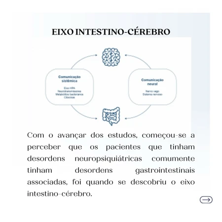 O eixo intestino-cérebro e sua importância